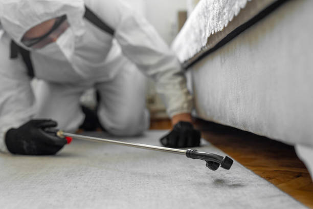 Professional Emergency Pest Control technician working in Paincourtville, LA