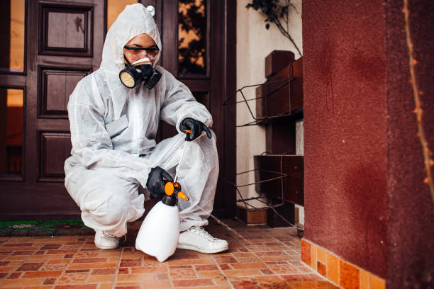 Reliable Emergency Pest Control contractor in Paincourtville, LA by Nex Pest Control