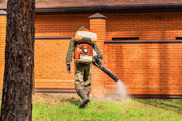 Trusted Emergency Pest Control service in Paincourtville, LA - Nex Pest Control